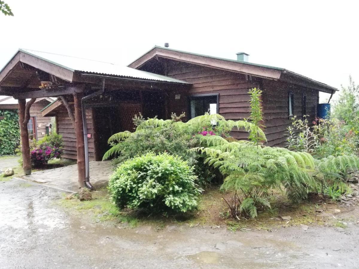 La Rueda Del Chucao Apartment Valdivia Exterior photo